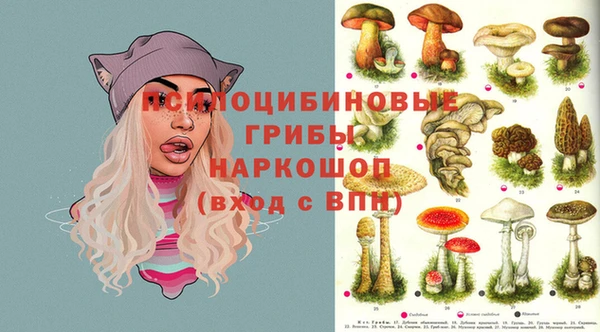 спайс Козельск
