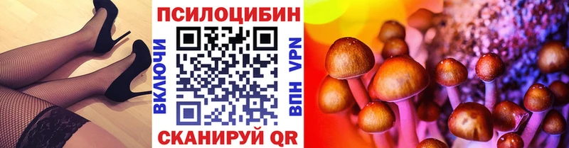 Купить где  Павловск  Галлюциногенные грибы Psilocybine cubensis 